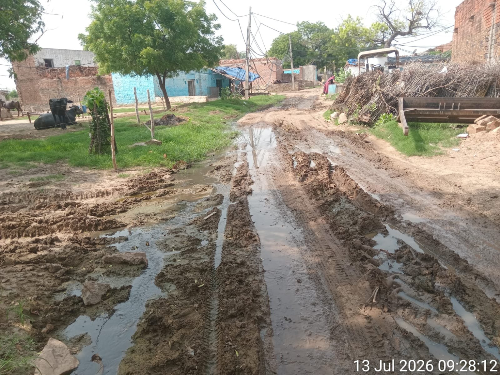 दतिया: पंचायत की लापरवाही से कीचड़ में तब्दील हुईं मेवली की गलियां, ग्रामीण परेशान
