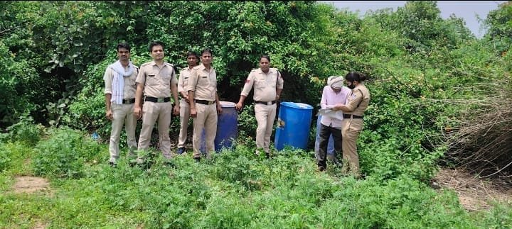 दतिया उपचुनाव से पहले आबकारी विभाग की बड़ी कार्रवाई, 710 बल्क लीटर अवैध शराब जब्त; 800 किलो गुड़ लहान नष्ट