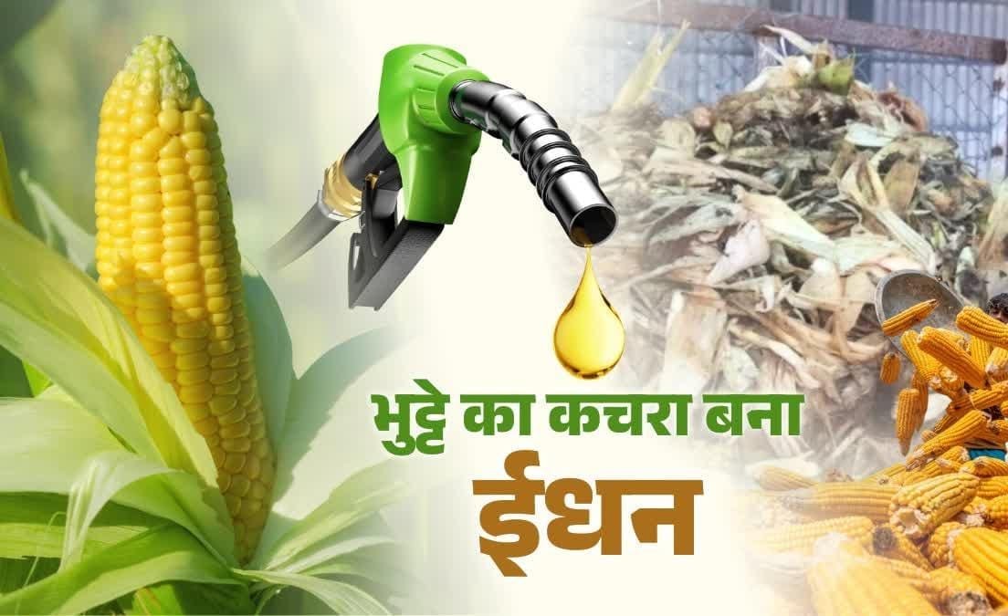 कचरा नहीं, ‘सोना’! भोपाल में भुट्टे के डंठल से बन रहा ग्रीन फ्यूल, नगर निगम को होगी कमाई