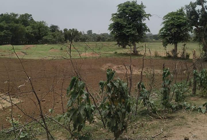 भाटगोरा वन भूमि विवाद: विधायक ने आरोपों को बताया साजिश, निष्पक्ष जांच की मांग तेज
