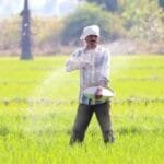 किसानों को बड़ी राहत: अब यूरिया के साथ NPK खरीदना नहीं होगा अनिवार्य
