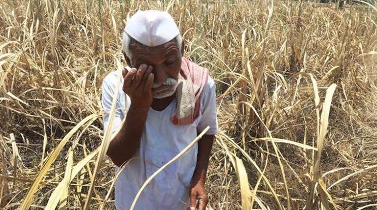 रीवा में ढाई लाख के कर्ज ने ली किसान की जान! जमीन हड़पने के आरोप के बीच सुसाइड नोट लिखकर दी जान