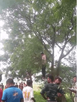 गुना में पानी की टंकी के पास फंदे पर लटका मिला अज्ञात व्यक्ति का शव, पुलिस जांच में जुटी