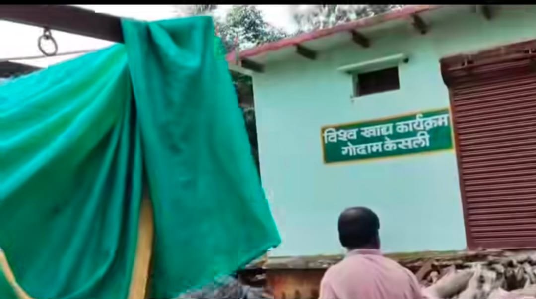 केसली में वन विभाग की बड़ी कार्रवाई, 14 सागौन लट्ठों से भरा आपे जब्त; 3 गिरफ्तार