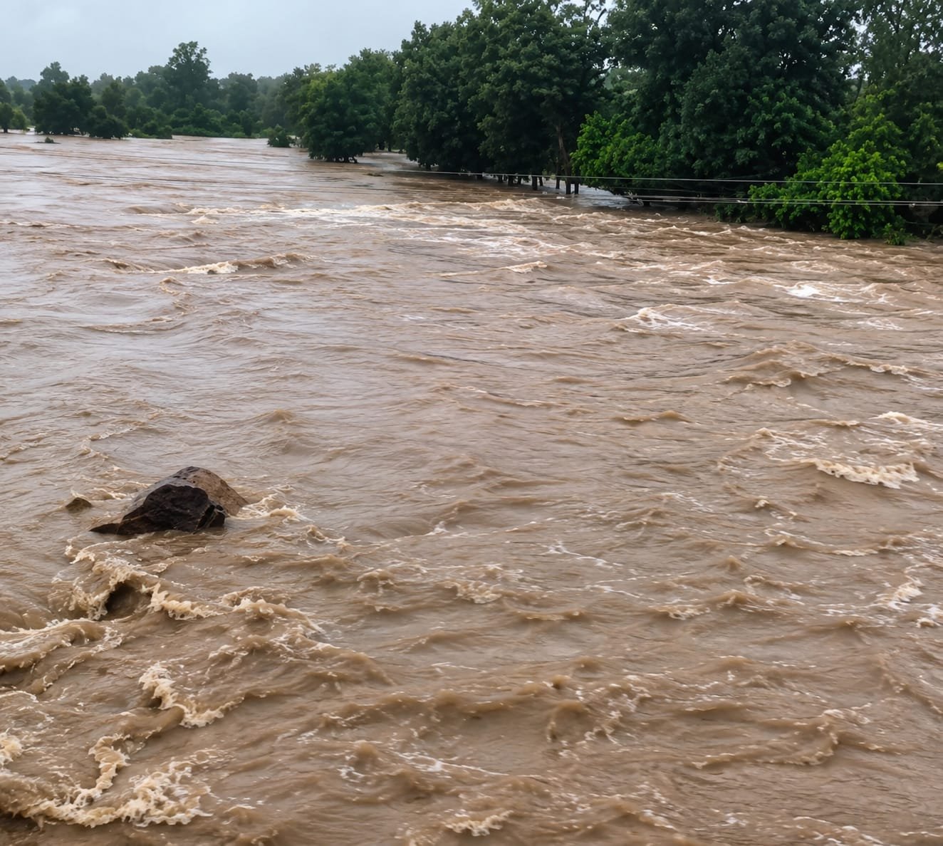 शिवपुरी में बारिश से महुअर नदी उफान पर, कई गांवों में जलभराव; खेतों में भरा पानी, फसलों को नुकसान की आशंका