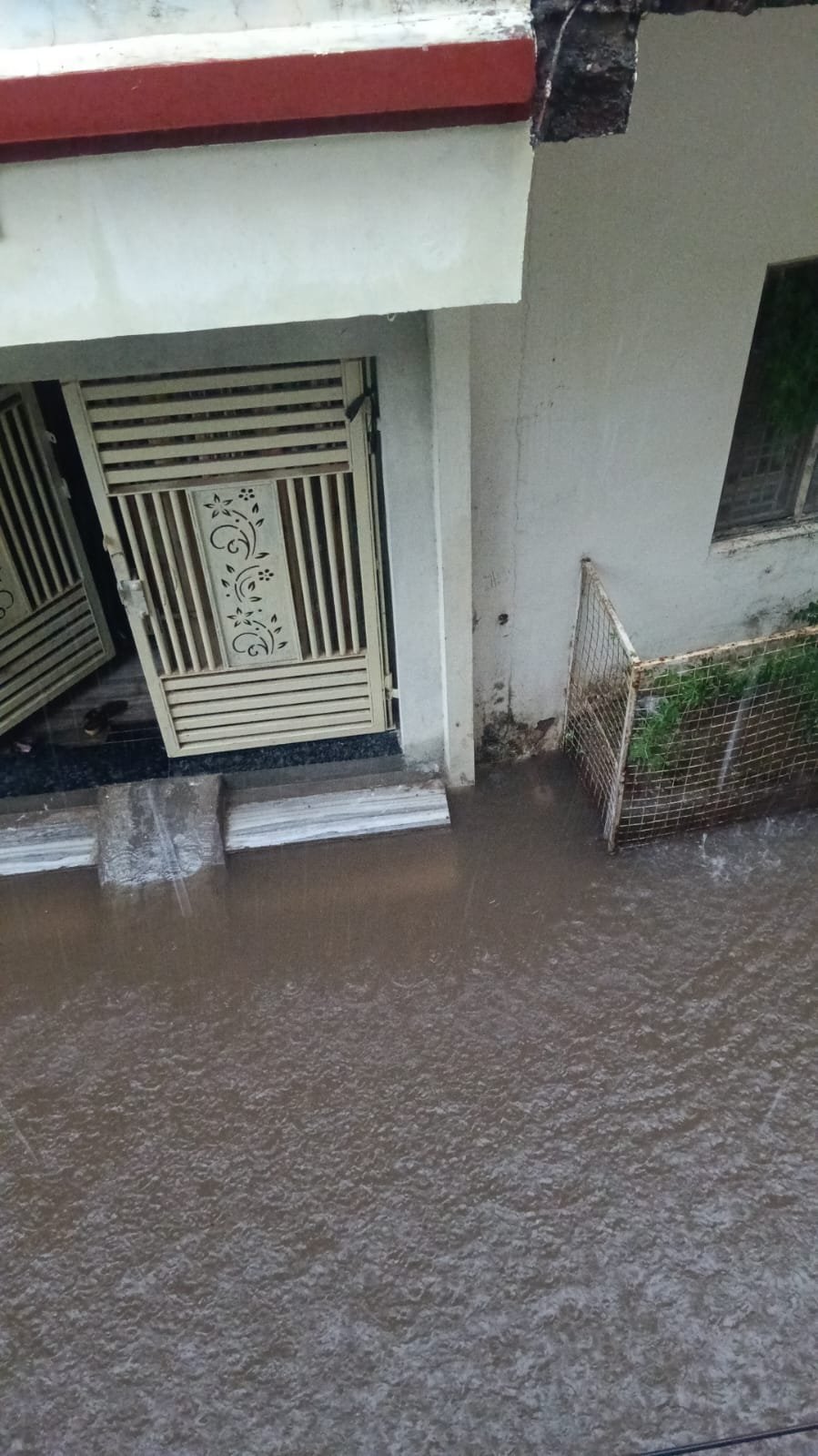 गुना में कुछ घंटों की बारिश ने खोली सफाई व्यवस्था की पोल, विंध्याचल कॉलोनी में घरों में घुसा नाली का गंदा पानी