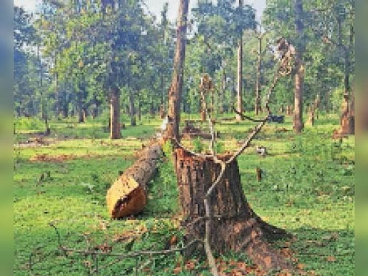 ग्रामीणों के विरोध के बाद वन विभाग की बड़ी कार्रवाई, वन भूमि पर अतिक्रमण का प्रयास नाकाम, 4 आरोपी गिरफ्तार
