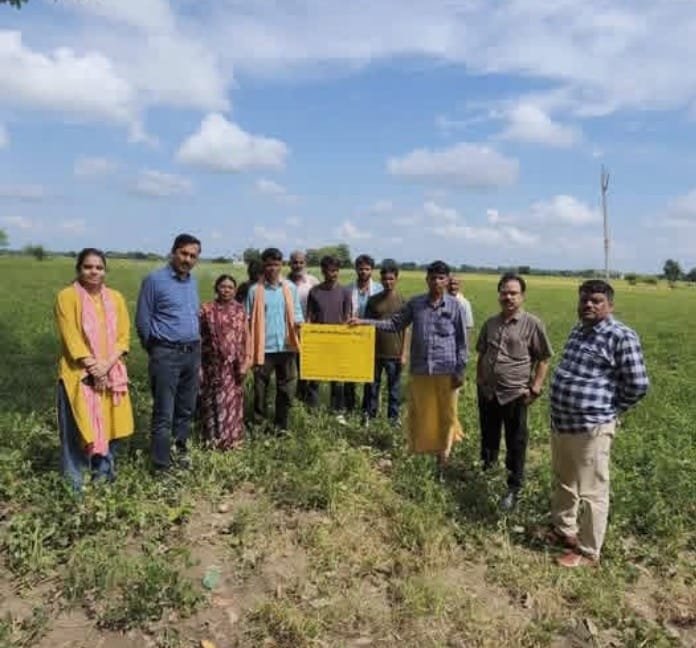 जन विश्वास अभियान में खेतों तक पहुंची कृषि टीम, उड़द-मूंगफली फसल और कृषि केंद्रों का लिया जायजा