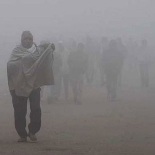 North India Cold Wave: MP-Rajasthan में सर्दी, Kedarnath-Badrinath में तापमान -13°C से नीचे