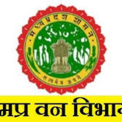 वन विभाग का बड़ा फैसला! अब किसी बड़े अधिकारी को नहीं किया जाएगा डिमोट—कर्मचारियों में राहत