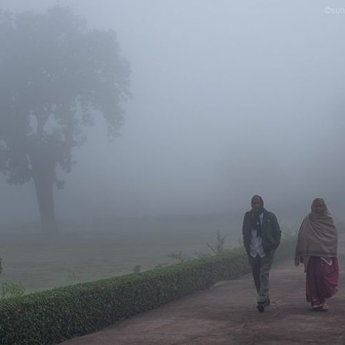 Madhya Pradesh Cold Update 2025: बर्फीली हवाओं के चलते तापमान में गिरावट जारी