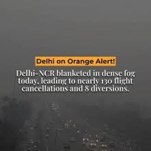 Delhi-NCR में Dense Fog का कहर, 128 Flights Cancel, Noida Schools Closed