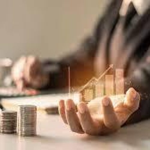 2025 में FII Exit के बावजूद Domestic Funds बने Indian Markets की मजबूती का सहारा