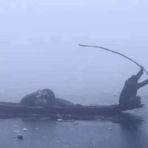 North India Cold Wave Update – पुलवामा में -4.6°C, हरियाणा में 0.2°C